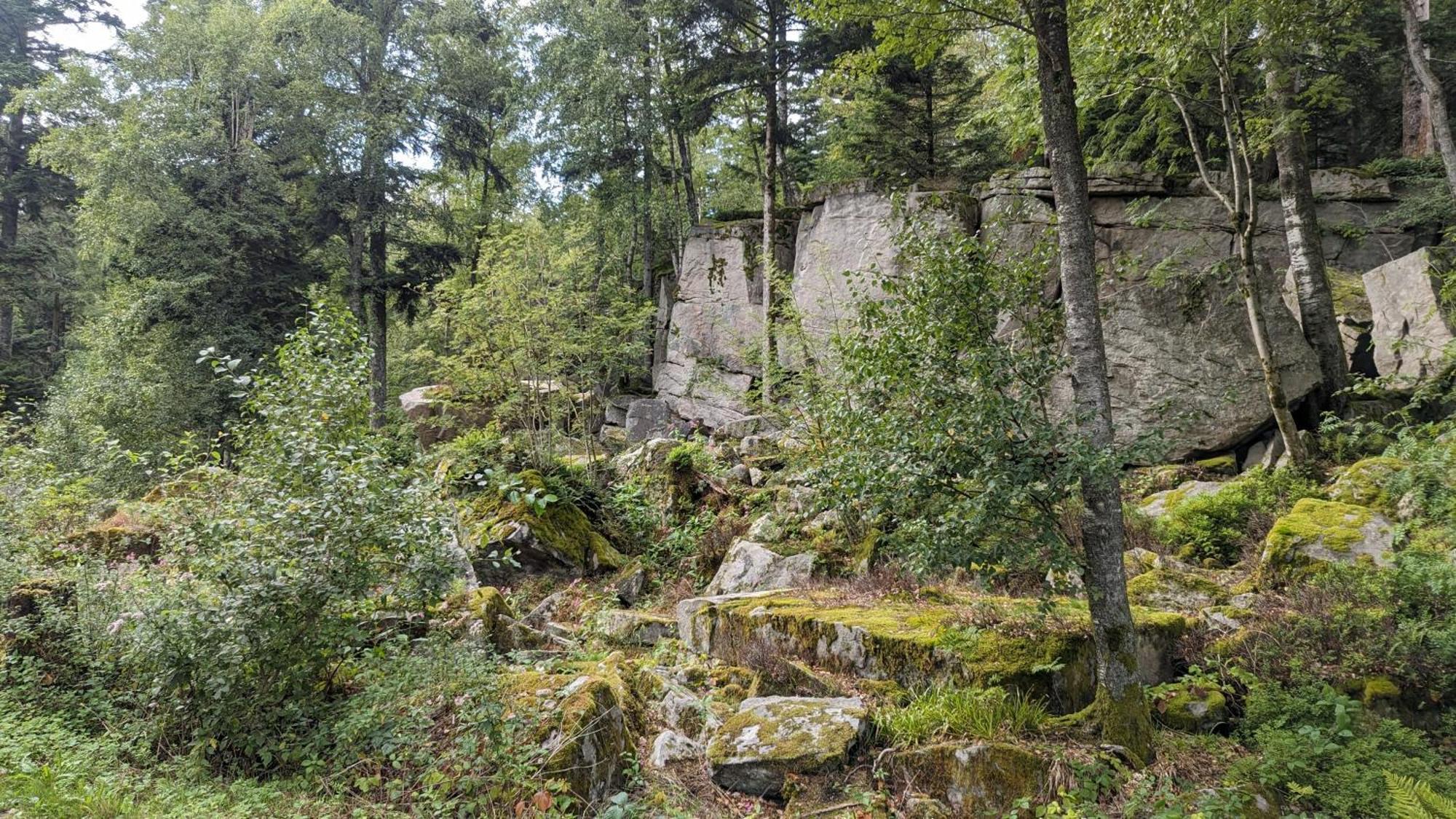 Apartament Waldhorn Dobel Zewnętrze zdjęcie